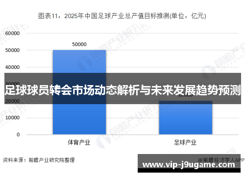 足球球员转会市场动态解析与未来发展趋势预测