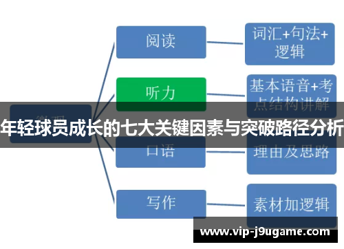 年轻球员成长的七大关键因素与突破路径分析