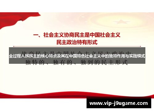 全过程人民民主的核心特点及其在中国特色社会主义中的独特作用与实践模式