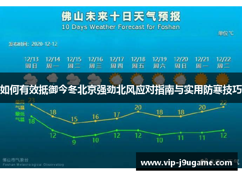 如何有效抵御今冬北京强劲北风应对指南与实用防寒技巧