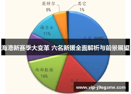海港新赛季大变革 六名新援全面解析与前景展望